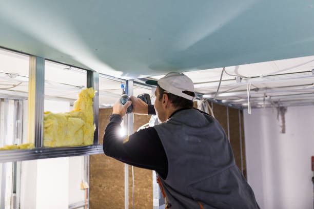 Best Commercial Insulation in Radisson, NY