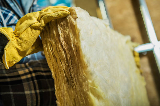 Best Geographic-Specific Insulation Services in Radisson, NY
