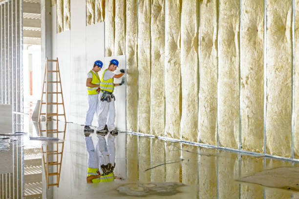Types of Insulation We Offer in Radisson, NY